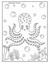 Ausmalbilder Krake Tintenfisch Fische Malvorlagen Unterwasser sketch template