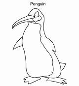 Penguin Realistic Coloring Draw sketch template