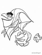 Nemo Gill Dory Poisson Coloring Coloriages Clown sketch template