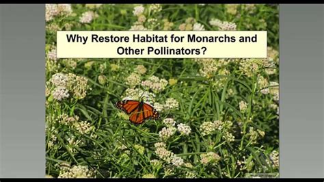 habitat restoration fundamentals youtube