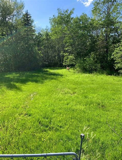 Vacant Lot In Grand Beach Area 129’x350’ Drilled Well And Hydro Land