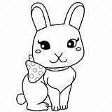 Conejos Conejo Rabbit Bunnies Pintar Anipedia sketch template