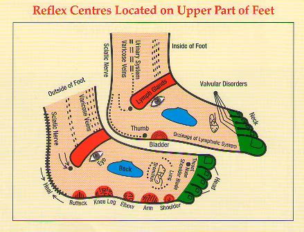 reflexology diagram diagrams  reflexology reflexology therapy