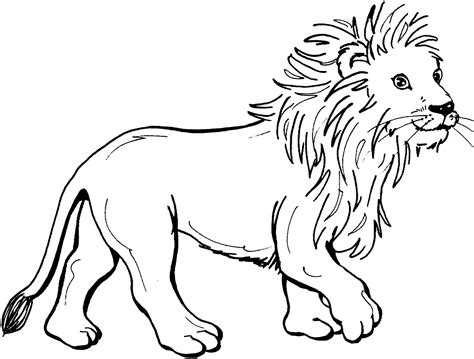 printable lion coloring pages  kids kidsworksheetfun