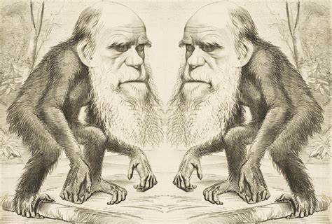 darwin human evolution darwins legacy historical association