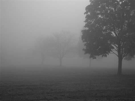foggy morning  photo  freeimages