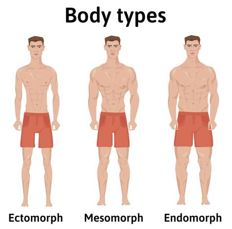 ectomorph workout  skinny guys training guide fitness volt