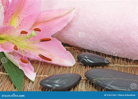 lily spa stock photo image  apothecary luxury nature