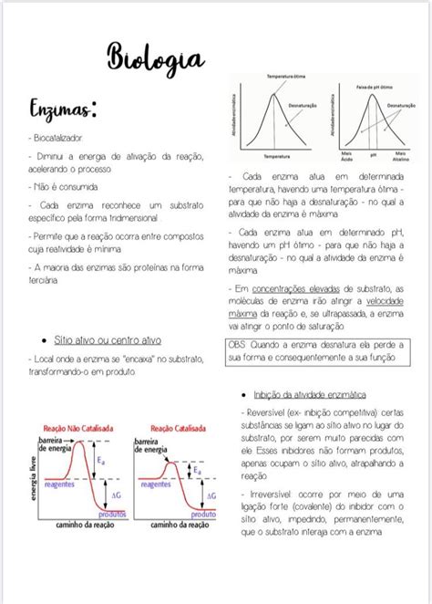 Resumo Biologia Enzimas Resumo Resumos Enem Biologia