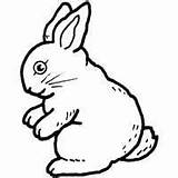 Hippity Hoppity Bunny Surfnetkids Coloring sketch template