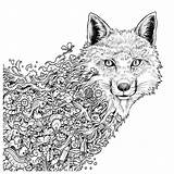 Wolf Animorphia Volwassenen Rocks Mandala Sheets Wolves Doodle Invasion sketch template
