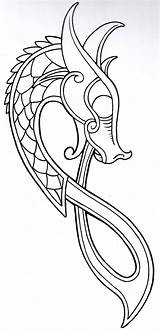 Dragon Drachen Vikingtattoo Pattern Wikinger Norse Vikingo Keltische Muster Drache Nordische Jormungand Nordic Gargolas Symbole Kelten Vikingos Alpha Barco Tatts sketch template