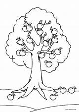Baum Cool2bkids Apfelbaum Macieira Ausdrucken árboles Colorironline sketch template