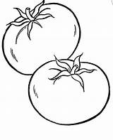 Tomato Drawing Line Plant Coloring Getdrawings sketch template