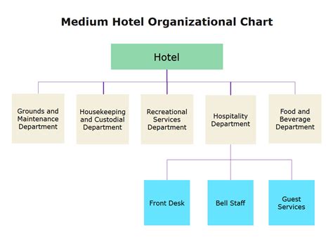 hotel organizational chart explained  examples edrawmax