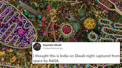 people online react to colourful picture of human cell