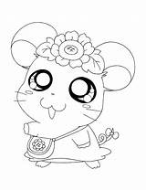 Schattige Hamster Hamtaro Ausmalbilder Diertjes Uitprinten Animaatjes Fanciful 색칠 공부 Downloaden Kiezen 보드 선택 Terborg600 sketch template