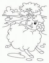 Coloring Sheep Pages Lost Jumbo Parable Printable Shipping Style Animals Kids Book Domestic Popular Comments Coloringhome Library Clipart Farm sketch template