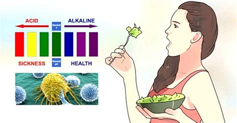 15 Alkaline Foods That Prevent Obesity Cancer And Heart