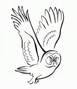 Coloring Pages Owl Flying Printable Colouring Birds Kids Popular Coloringhome sketch template