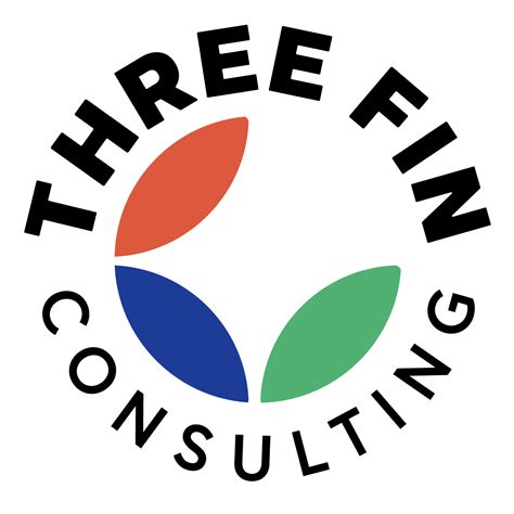 fin consulting