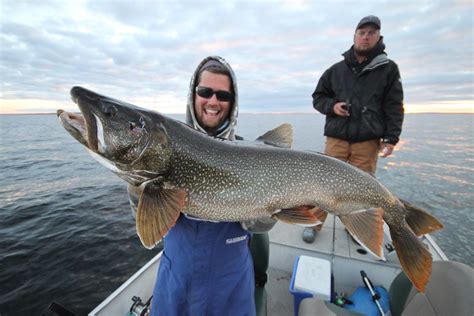 tips  catching  elusive lake trout northeastern ontario canada