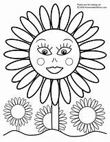 Coloring Sunflower Pages Printable Flowers sketch template