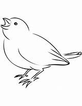 Coloring Sparrow Printable Pages Categories Clipart Bird sketch template