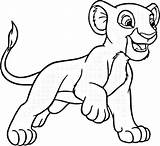 Coloring Simba Pages Popular sketch template