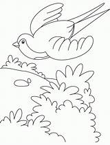 Flying Coloring Bird Cartoon Birds Clipart Pages Library sketch template
