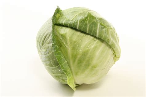 cabbage facts health benefits  nutritional