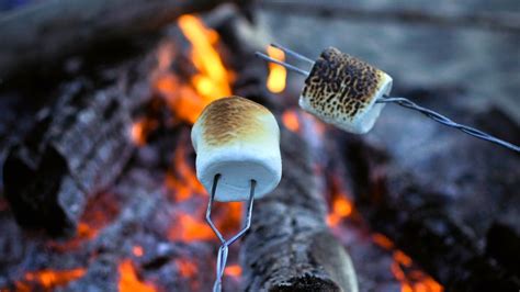 morsels   gods  delicious history  roasting marshmallows