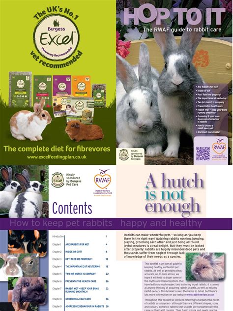 hop to it the rwaf guide to rabbit care neutering hay