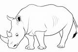 Rhino Coloring Pages Drawing Animal Rhinoceros Animals Kids Wild Printable Cartoon Colouring Color Drawings Rhinos Painting Print Line Forest Draw sketch template