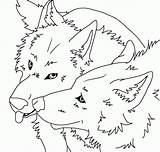 Wolves Lineart Wolfblood Rhydian Maddy Winged Coloringhome Develop Coloring Coloringfolder sketch template