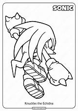 Knuckles Echidna Hedgehog Coloringoo sketch template