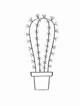 Coloring Cactus Pages Recommended Color sketch template