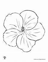 Mufaro Hibiscus Symmetrical sketch template