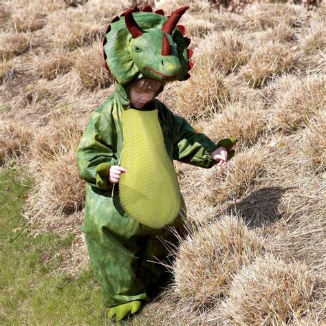 dinosaur dress  costume dinosaur halloween costumes  kids