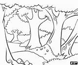 Coloring Forest Trees Pages Tree Printable Desenhos sketch template