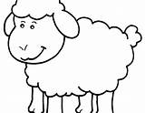Sheep Lamb Coloring Kids Drawing Bighorn Pages Colouring Color Clipartmag Getcolorings sketch template