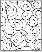 Coloring Book Laboratory Blood Cell Pages sketch template