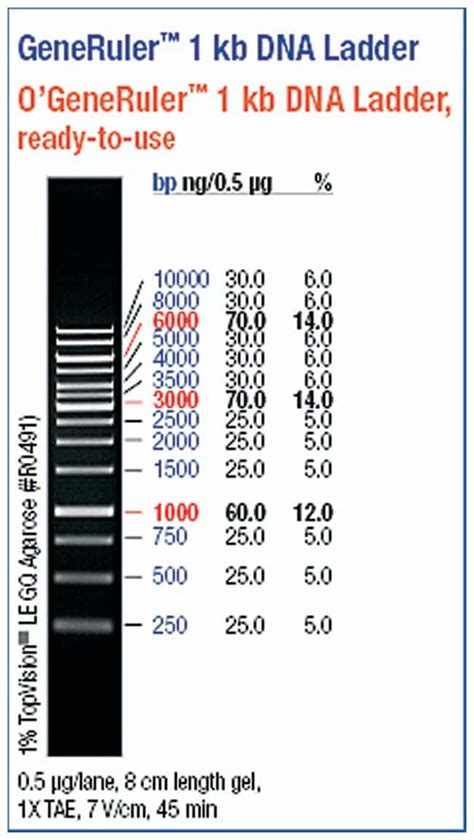 Thermo Scientific™ Ogeneruler 1 Kb Dna Ladder Ready To Use 250
