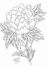 Peony Drawing Outline Line Japanese Drawings Flower Tattoo Rose Peonies Getdrawings Shannan Paintingvalley sketch template
