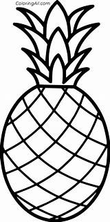 Pineapple Outline Simple Coloring Printable Pages Easy Vector Colouring Fruit Drawing Print Printables Kids Apple Drawings Painting Choose Board Small sketch template
