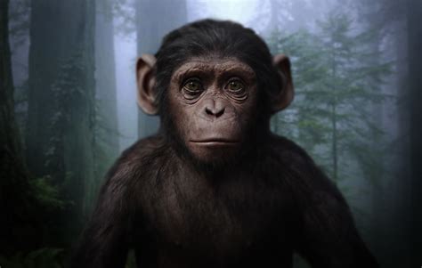 ape prince planet   apes wiki fandom powered  wikia