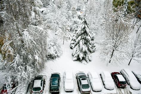de winter stock foto afbeelding bestaande uit landschap