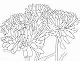 Colorat Toamna Flori Gradinita Desene Crizanteme Planse Buchet Qbebe Vezi Educatia Conteaza sketch template