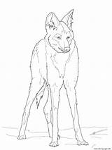 Wolf Coloring Maned Pages Reddish Printable Drawing Cartoon Arctic Print Dots Getcolorings Getdrawings Info sketch template