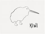Kiwi Coloring Pages Template sketch template